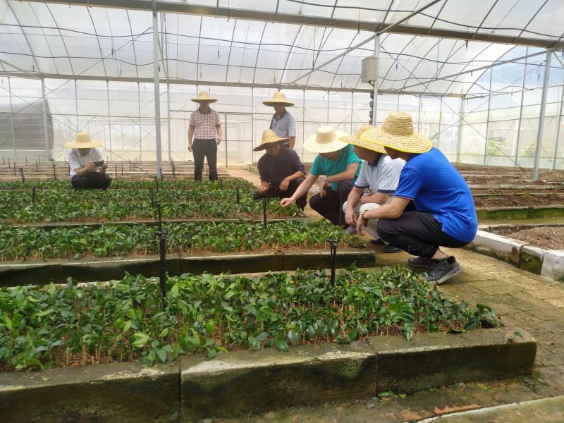 bYbv5nt6mfEzH0GiTLYjQ