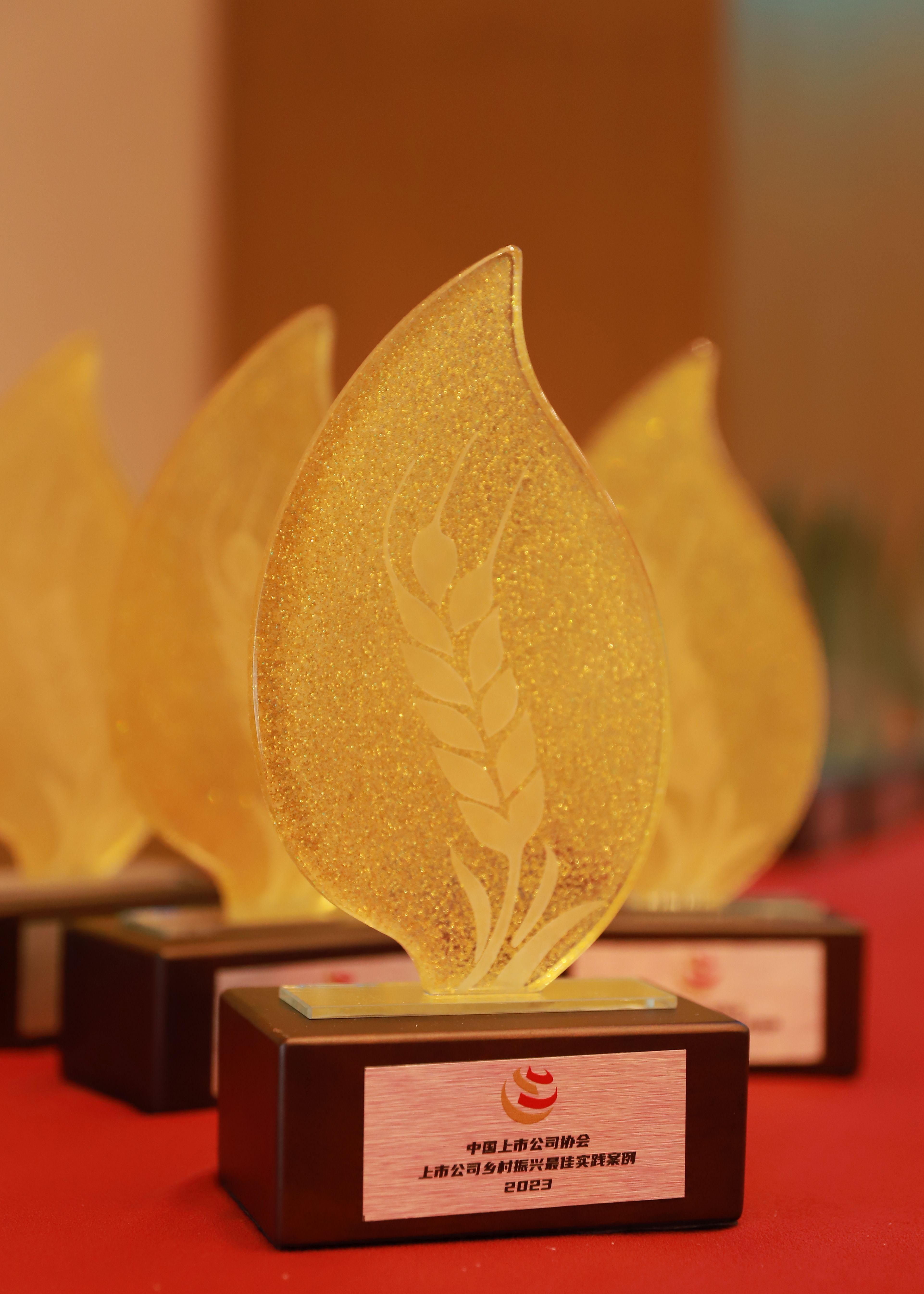 sDN_F-CTrmJ9ARs5D2aYQ