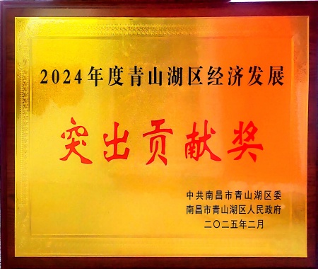 2024年度青山湖区经济发展凸起贡献奖