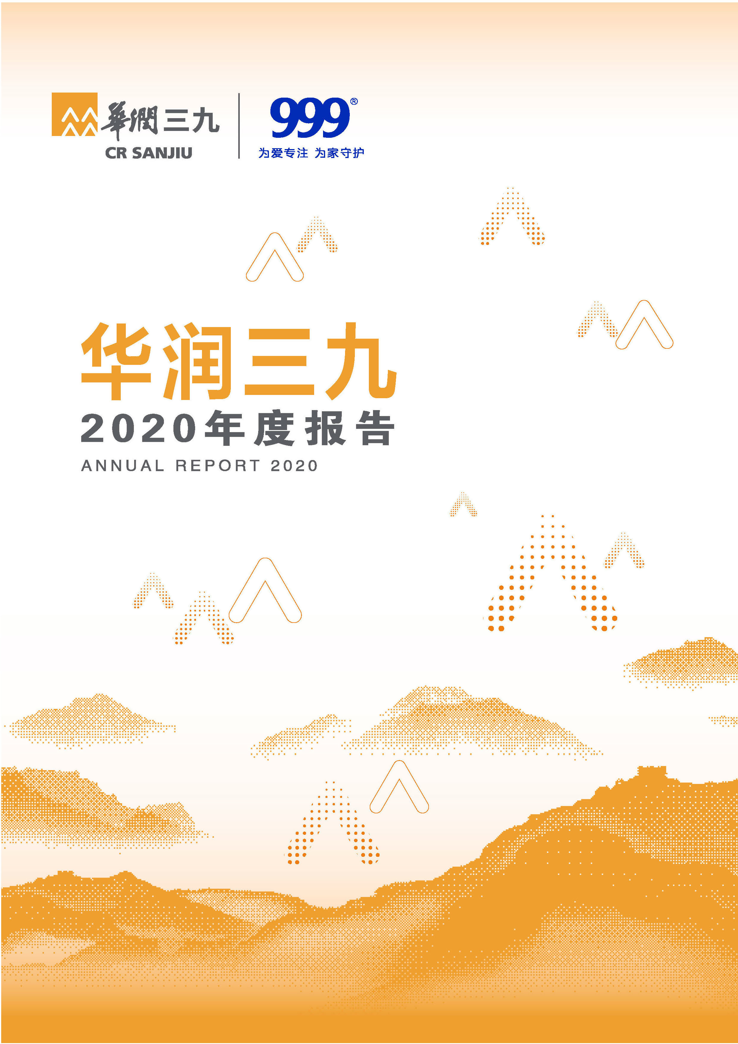 必赢亚洲：2020年年度汇报