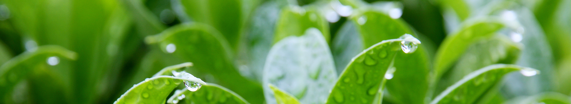 cf47be1b-7426-4925-9565-8e1012994d25