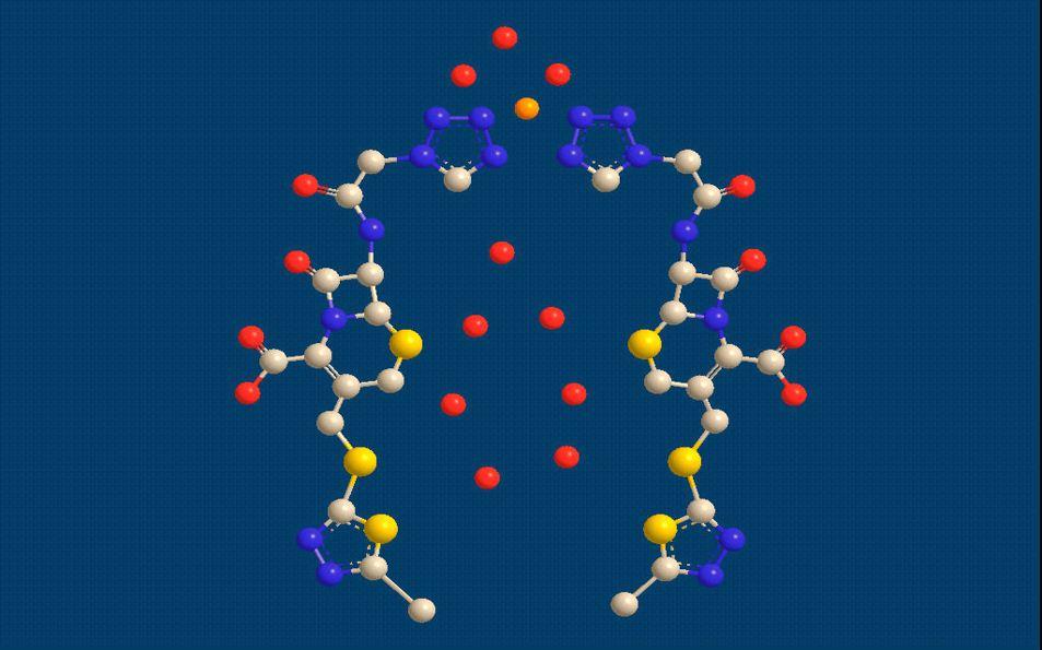 必赢亚洲·bwin(中国区)唯一官方网站