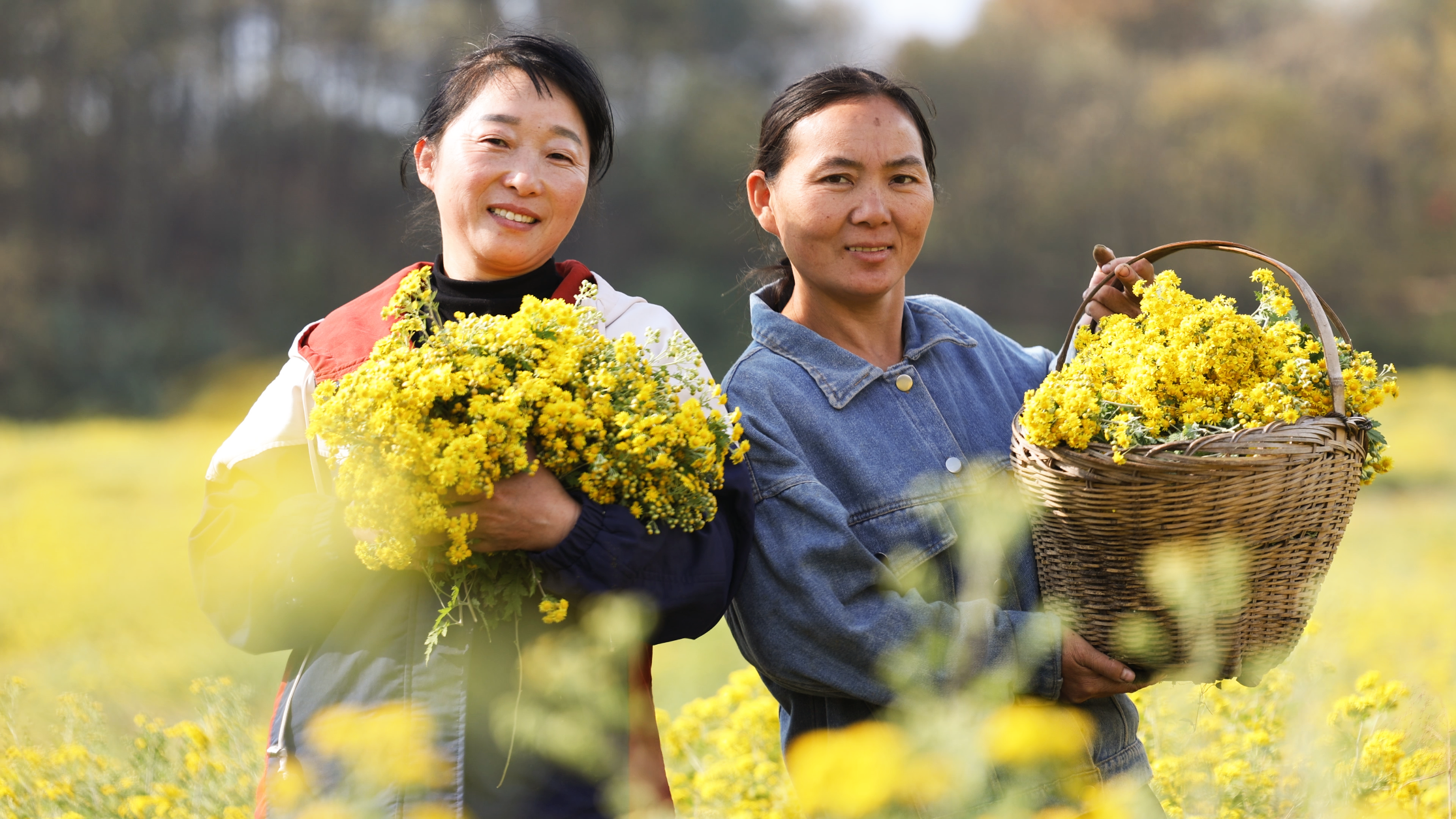 582b718e-5025-42a0-ae44-e8d0dd9fc1f0