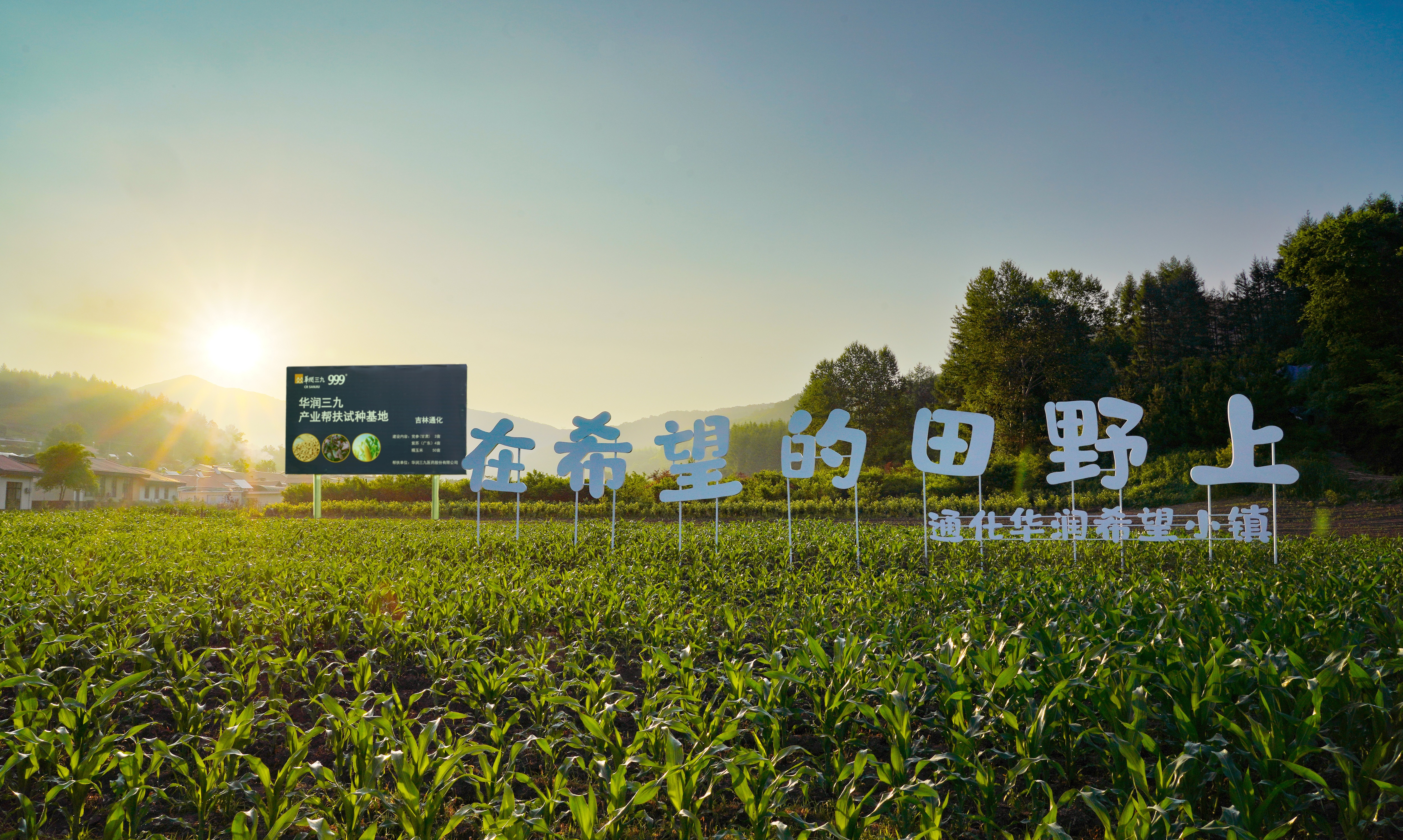 011c313b-f36a-4ff2-a3e0-01123e71fa45