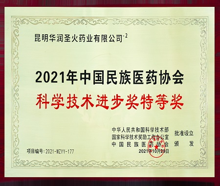 2021年中国民族医药协会 科学技术进取奖特等奖