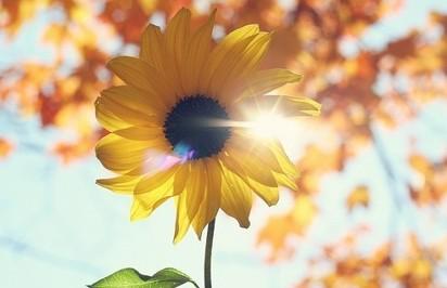 必赢亚洲·bwin(中国区)唯一官方网站